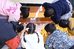 志愿北京2h【探秘正大鸡蛋工厂】 鳄鱼王国 | 12.27/1.10/17/24/31见证一颗蛋的科技之旅