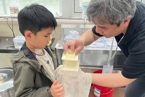 志愿北京8h【昌平豆腐的诞生】12.20/21/27/28亲手做豆腐、品豆花、喝豆浆，体验传统美食制作