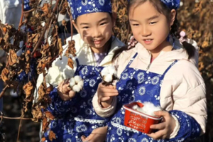 大兴棉花采摘【暖暖棉花季】12.20/21手工小羊肖恩，制作棉花糖，体验棉田里的奇妙旅程