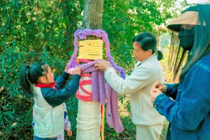 昌平亲子游【公益时长4H】我为小树穿冬衣|自制户外鸟食器，制作棉花糖 