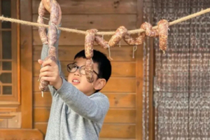 快乐寻年记，元旦1.1/2/3下午场灌香菇肠、学农知种吉祥菜、认养吉祥盆栽、趣味滚轮胎、喂小动物 