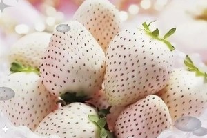 志愿北京6小时学习太空育苗【带娃去农科院】1.31/2.1/7/8/14/15/28体验水菜共生与教授一起亲手种植草/莓