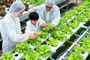 志愿北京2h【未来农场开放日】1.2/3/10/11翠湖工场亲子探秘半日营