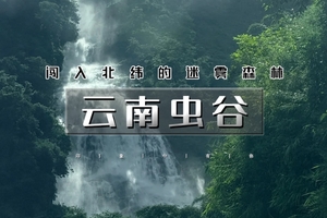 春节7天｜火车•云南虫谷｜哀牢山秘境徒步の翁丁原始部落-西盟龙摩爷-勐梭龙潭-老达保-景迈山古茶园…7天6日边境探索之旅