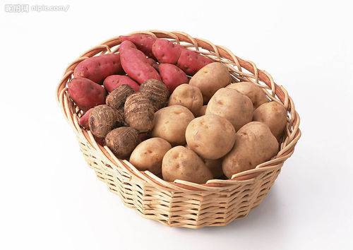 户外探险旅游的必备十件物品