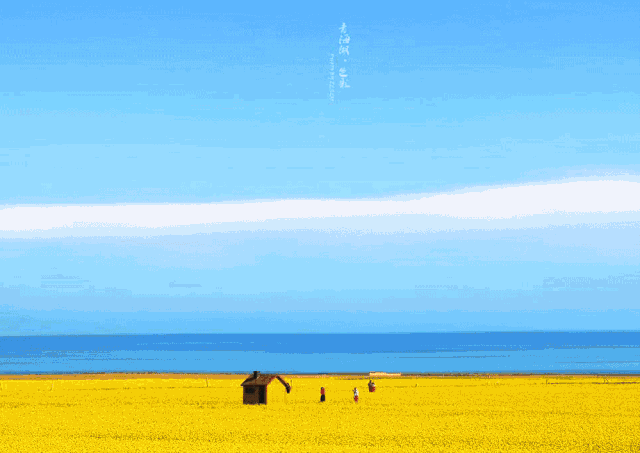 2019想和你牵手去旅行(下) - 我爱爬山网 - 花最少的