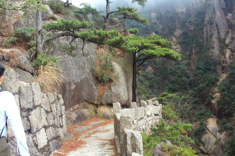 QQ图片20151116202835