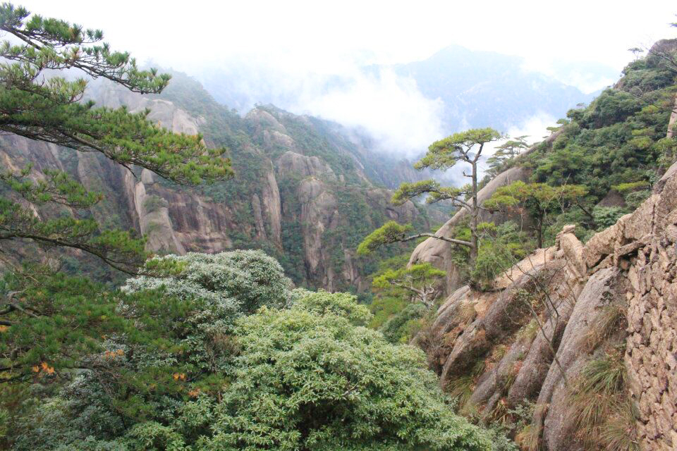 QQ图片20151116202853