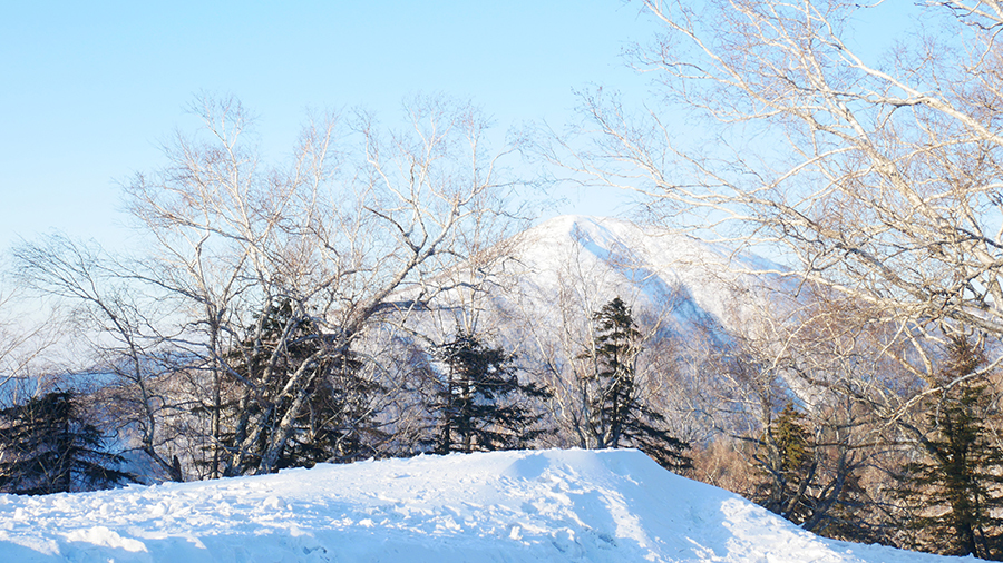 微信图片_20191210112302