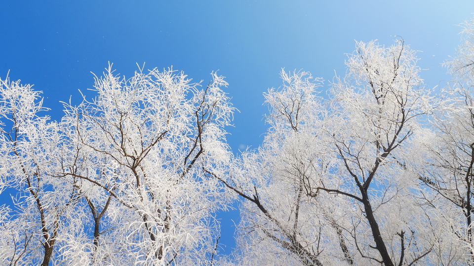 微信图片_20191210112330