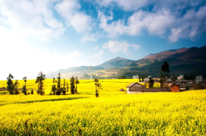 微信截图_20200109121616