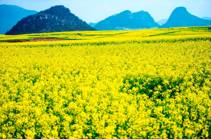 微信截图_20200109121623