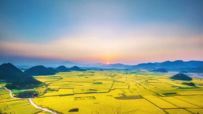 微信截图_20200109121631