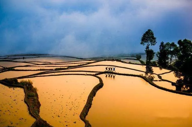 微信截图_20200109131310