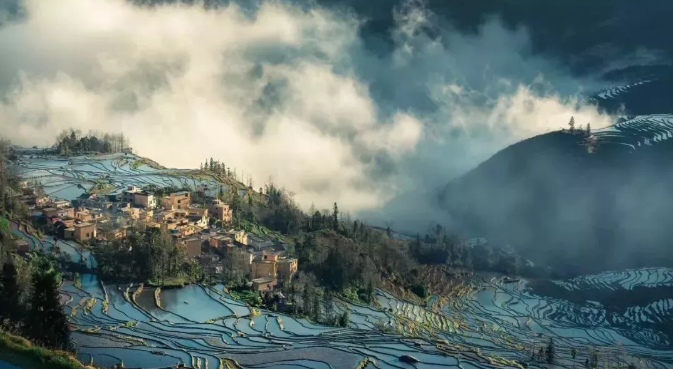 微信截图_20200109131418