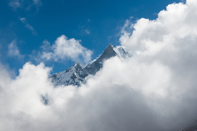 8d1d5499ae0d4ce8b5d7dfadfa0a6c31