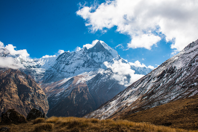 b0ee1f6305044988b983acb300fbe4fd