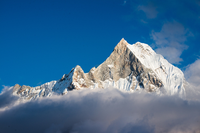 b4080e53370744ad88a5cf9731a88c95