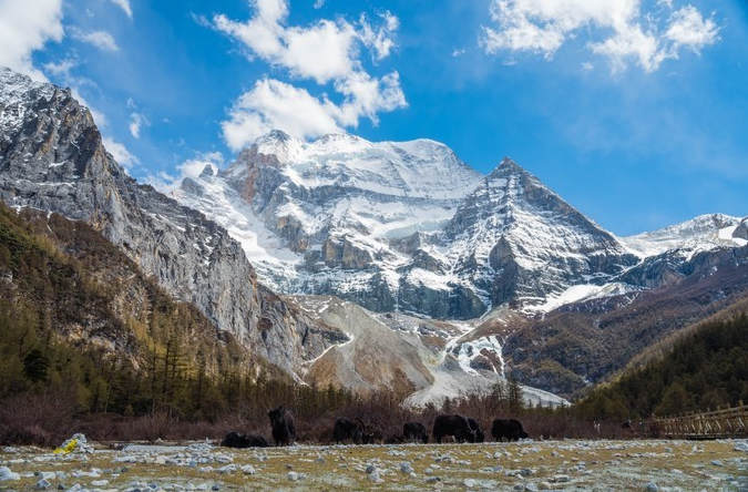 微信截图_20200409080955