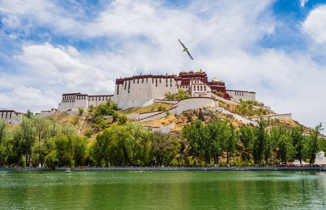 微信截图_20200409081021