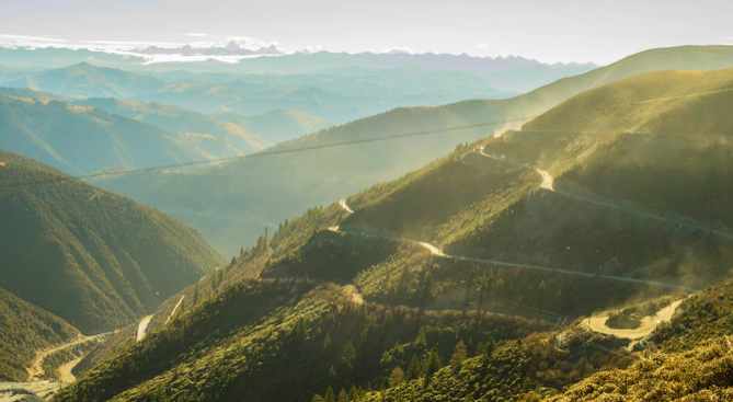 微信截图_20200409081152