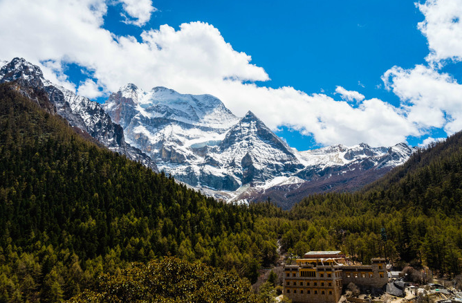 微信截图_20200409081243