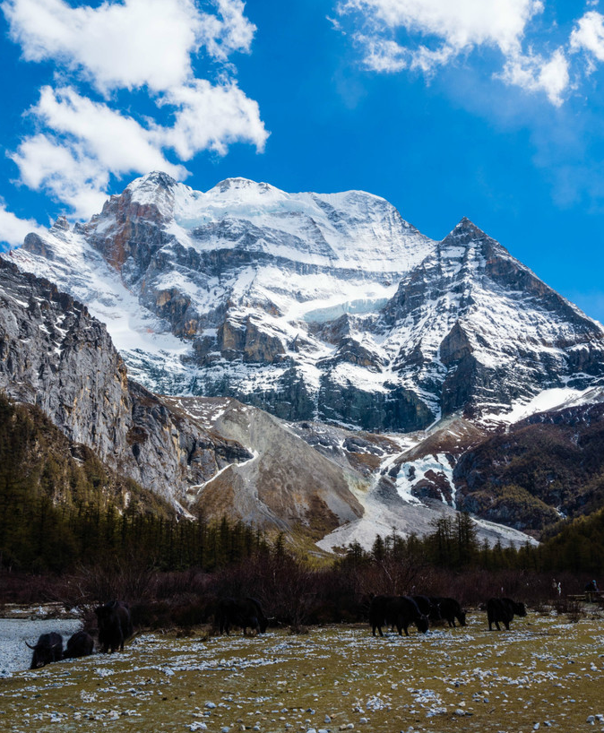 微信截图_20200409081256