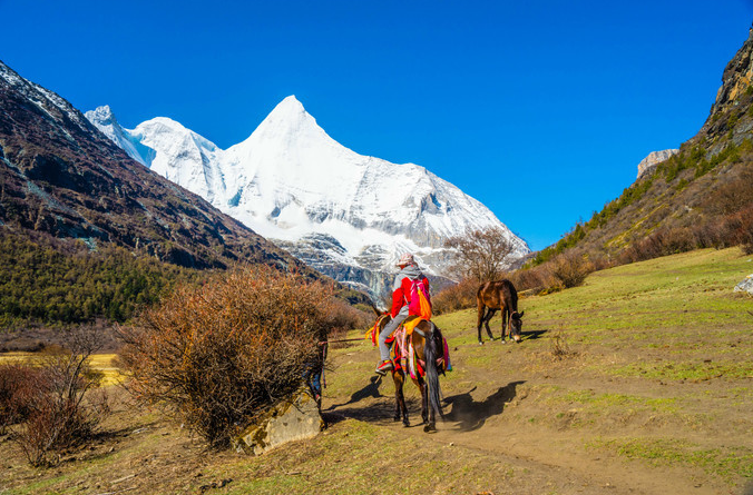 微信截图_20200409081350