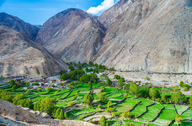 微信截图_20200409081450