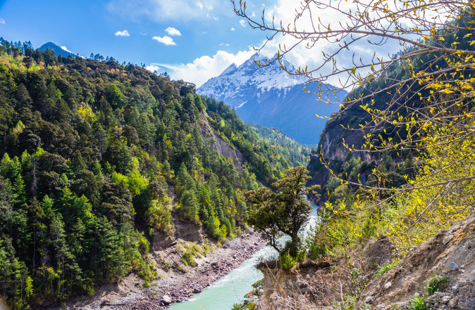 微信截图_20200409081556