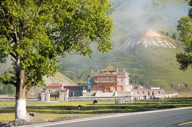 微信截图_20200409082007