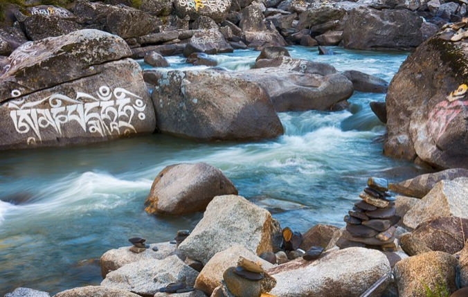 微信截图_20200409082016