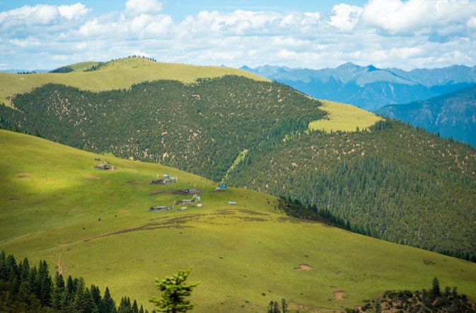 微信截图_20200409082054