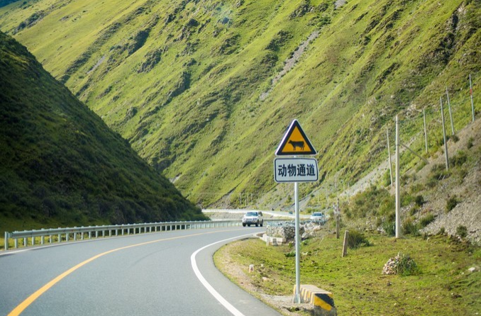 微信截图_20200409082126