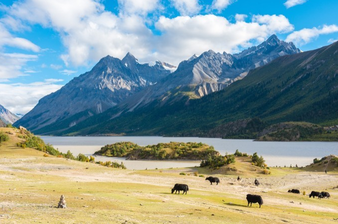 微信截图_20200409082309