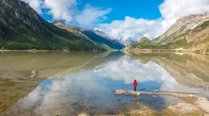 微信截图_20200409082353