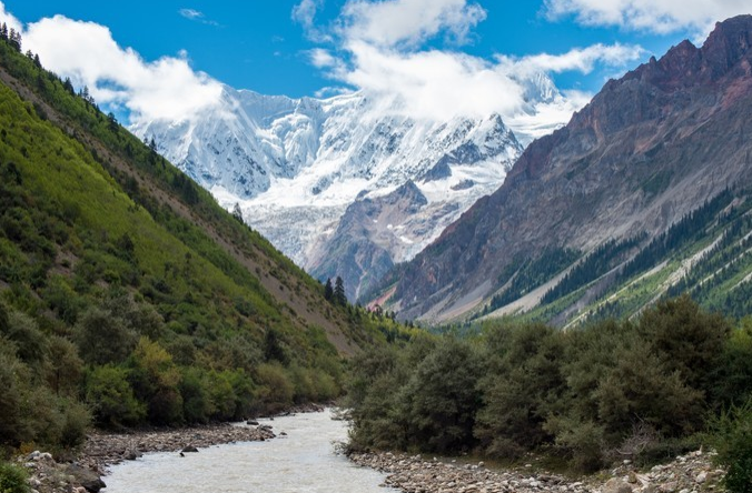 微信截图_20200409082411