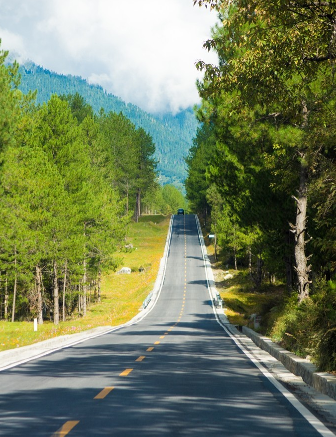 微信截图_20200409082521