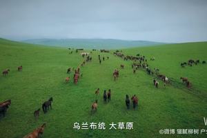 坝上草原 