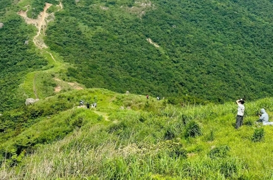 150元【宁国铁匠山】06.02 皖浙山脊，高山草甸，武功山太远，那么就安排这里，11公里，最高海拔1288米