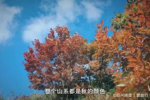 道场坪 / 万亩草甸 / 江南小武功山