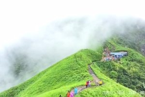 武功山 六月雨季 不一样的云中之美