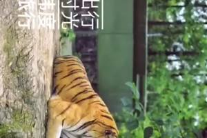 上海野生动物园