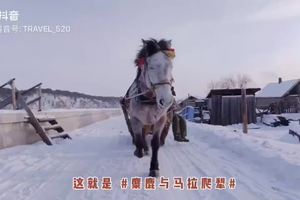 这就是#最北漠河#