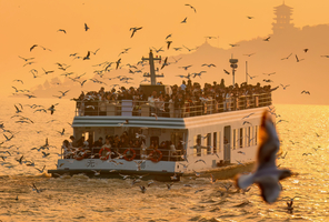 1日休闲【邂逅红嘴鸥】12.20 无锡鼋头渚，游船看西伯利亚红嘴鸥，去一趟江苏最低调的惠山古镇