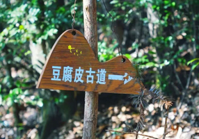 新手友好【豆腐皮古道】02.07/02.08 穿越百年商贸古道，徒步龙坞古道+豆腐皮古道精华路段，登顶午潮山