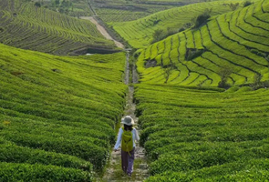 90元【宁波福泉山徒步】05.03 这里每一帧都是“阿勒泰”的壁纸，徒步10公里福泉山古道环线