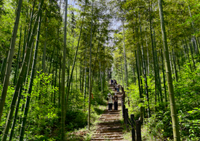 【青山村环线】11.01 小众杭州青山村，小而美登山线路，对新手/亲子都友好，漫步闲林埠老街
