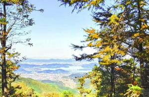 90元【东岗山秋色】11.07 徒步寻秋，邂逅金钱松秘境，走入油画般的秋天里