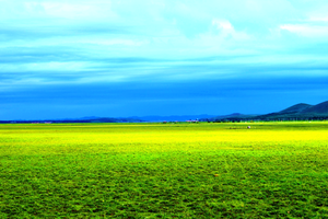 报名开启|河北丰宁第三届坝上草原马拉松